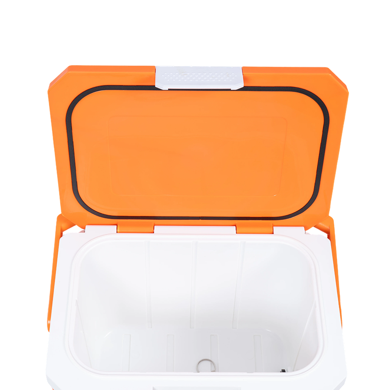 20QT PP Spritzgussform Kühlbox